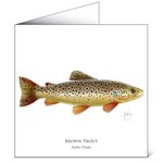 Mayfly Art Brown Trout Greetings Card